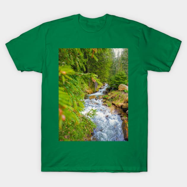 Prut river T-Shirt by psychoshadow